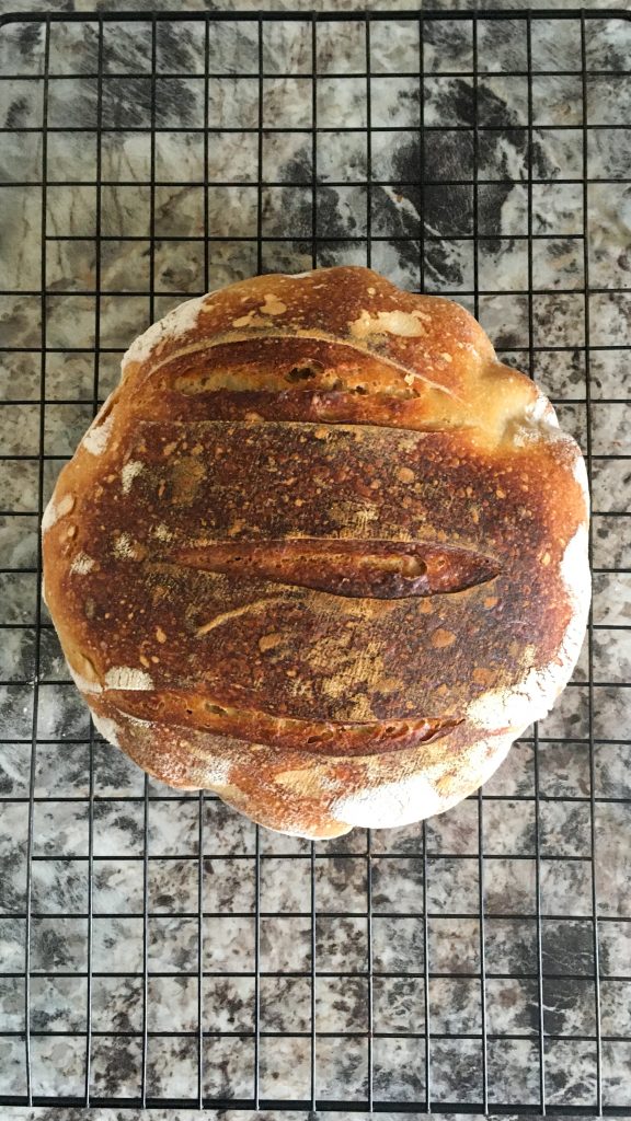 my first sourdough loaf